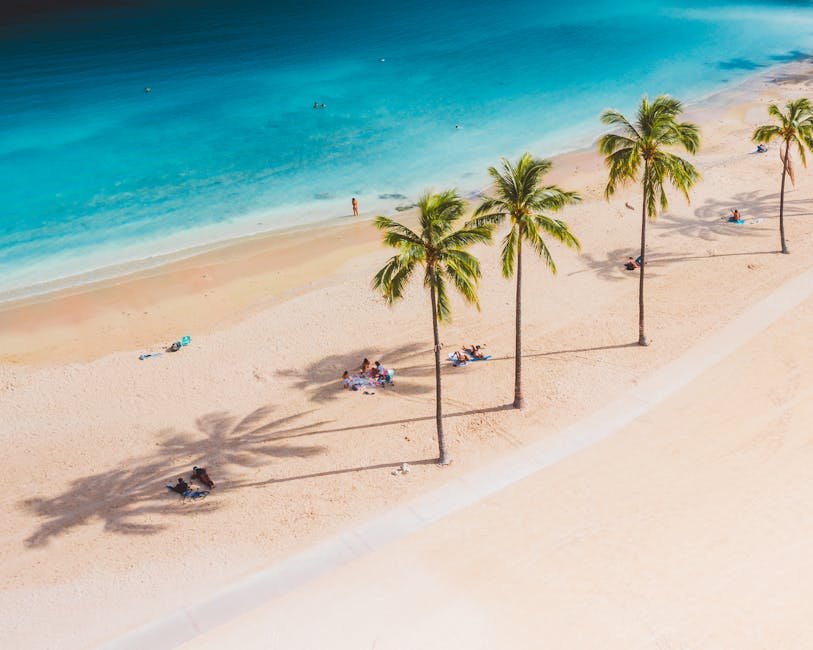 A serene tropical beach with palm trees and turquoise waters, captured from above.