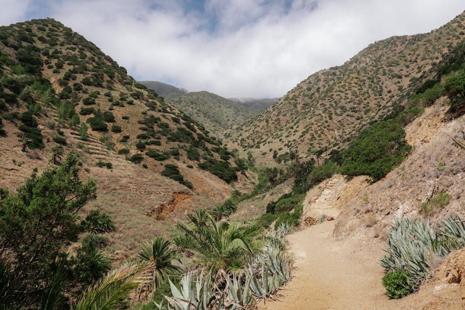 Explore the stunning vistas of Vallehermoso with rugged mountains and lush greenery.
