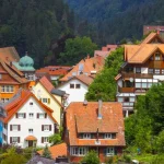 20x Bezienswaardigheden Zwarte Woud: Wat te doen & zien? Tips