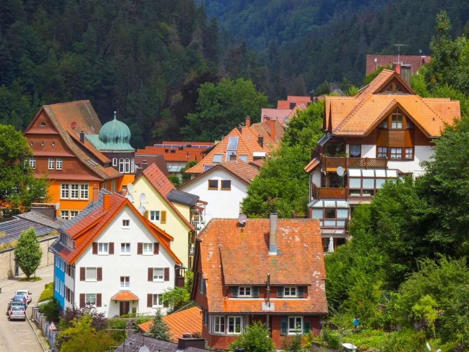 20x Bezienswaardigheden Zwarte Woud: Wat te doen & zien? Tips