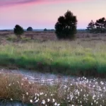 19x Bezienswaardigheden Drenthe: Wat te doen? Activiteiten + tips