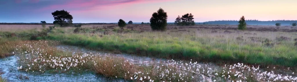 19x Bezienswaardigheden Drenthe: Wat te doen? Activiteiten + tips 19x Bezienswaardigheden Drenthe: Wat te doen? Activiteiten + tips