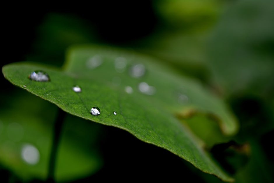 Stedentrip York Goedkoop